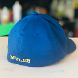 AH Baseball Youth Fitted Hat