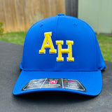 Game Day Perforated Snapback