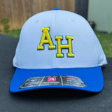 Game Day Perforated Snapback